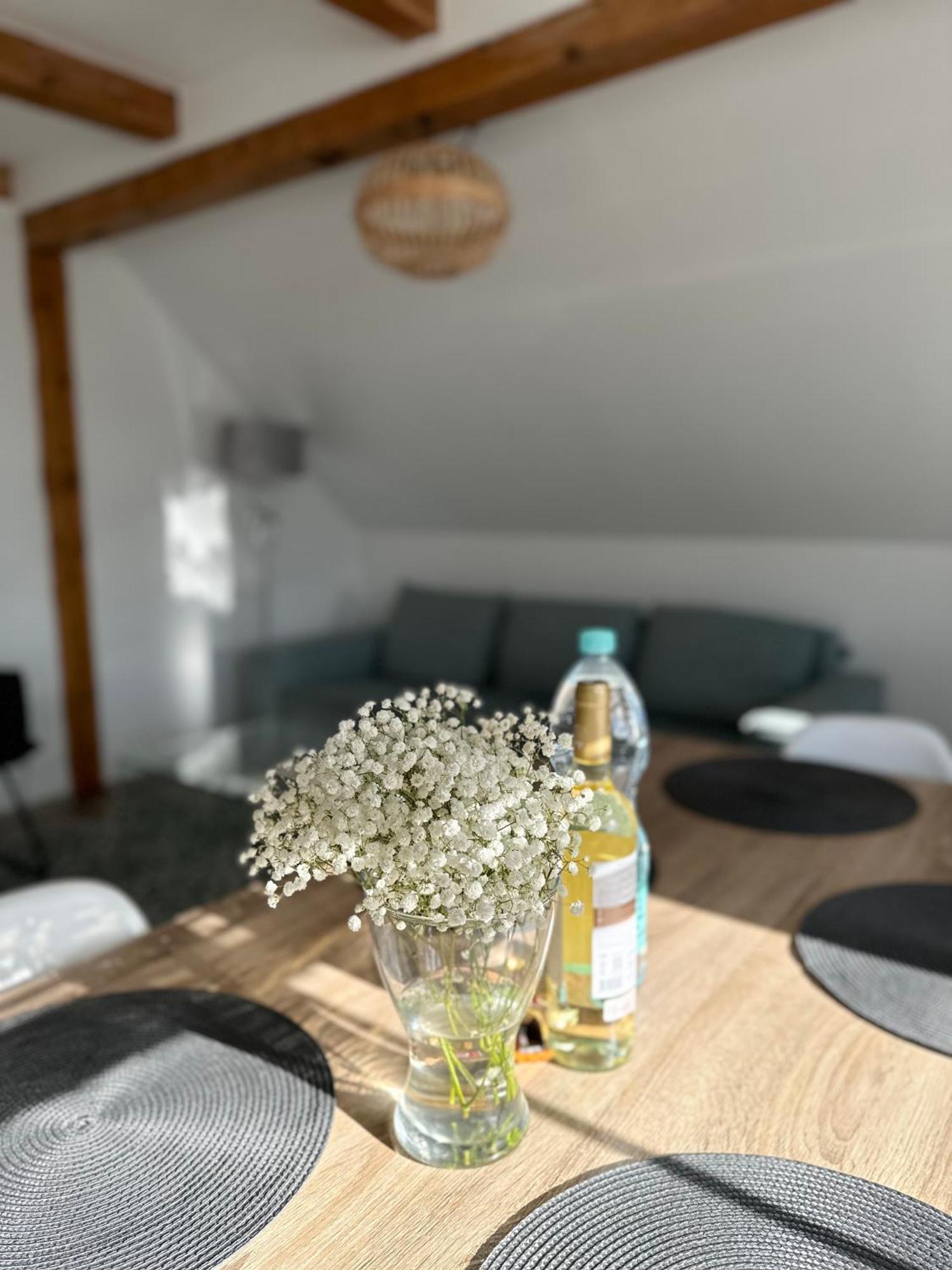Klimatyczny Apartament Nr 8 Z Widokiem Na Gory Sowie Bielawa  Eksteriør billede